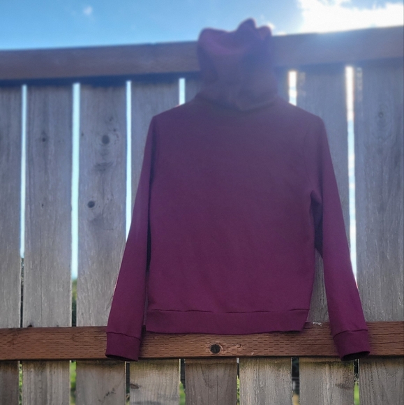 Pink V.S. Hoodie - Picture 4 of 5